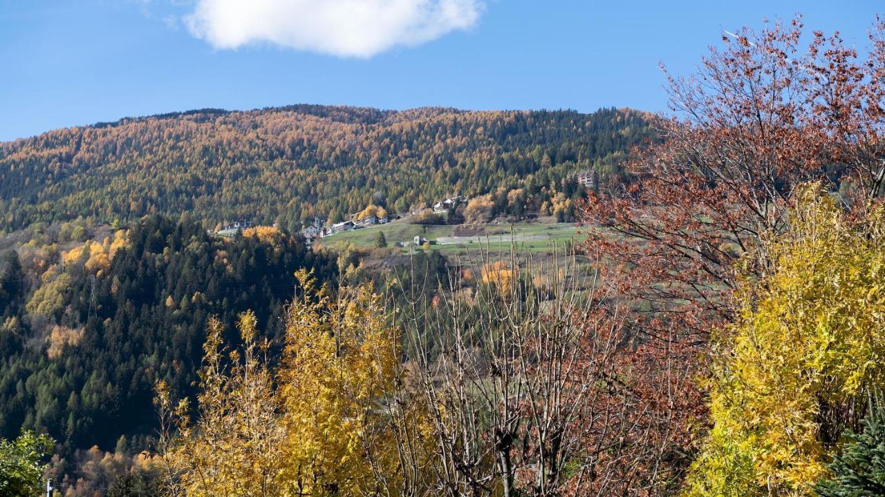 Italianway - Castellazzi 12 Aquila Lejlighed Bormio Eksteriør billede